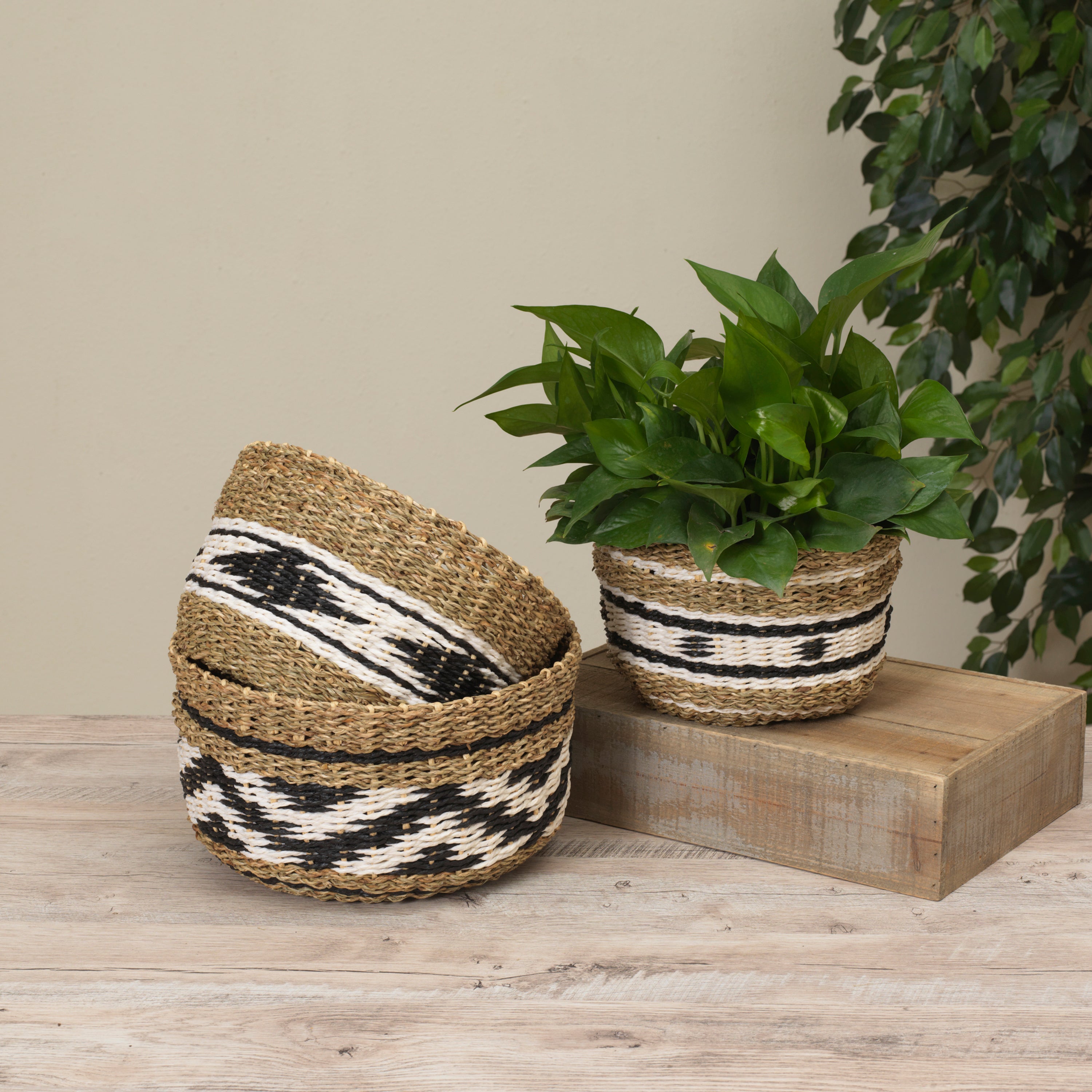 Set of 3 Seagrass and Paper Rope Baskets